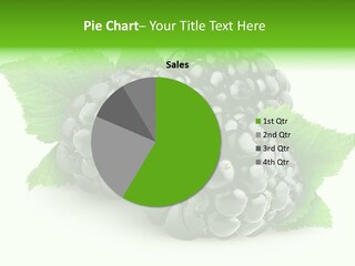 White Bramble Close Up PowerPoint Template