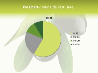 Seasoning Food Raw PowerPoint Template