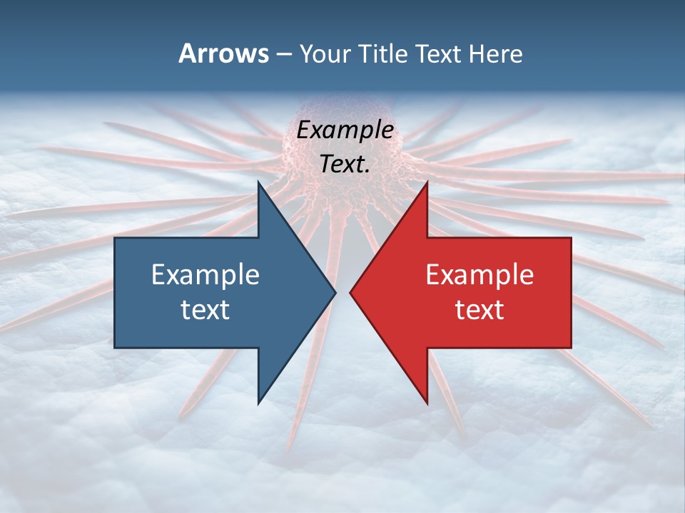 Disposition Cell Therapy PowerPoint Template