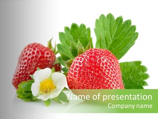 Blossoming Real Nature PowerPoint Template