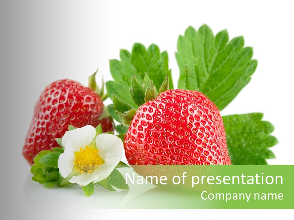 Blossoming Real Nature PowerPoint Template