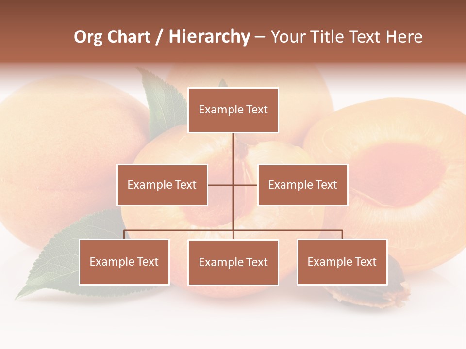 Vegetarian Apricot Healthy Eating PowerPoint Template
