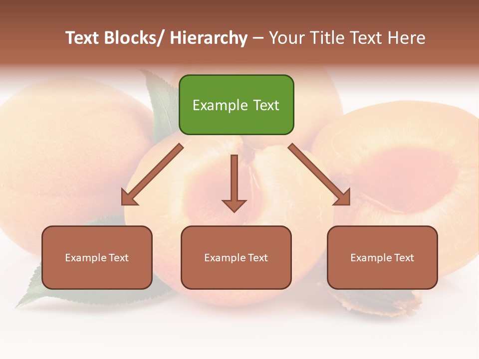 Vegetarian Apricot Healthy Eating PowerPoint Template
