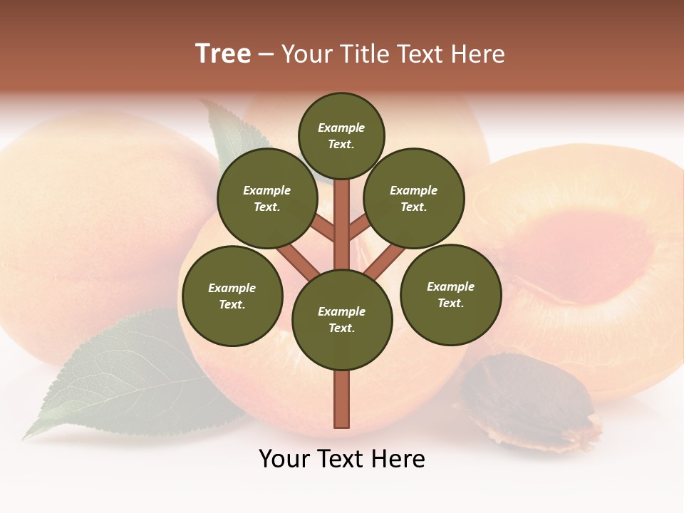 Vegetarian Apricot Healthy Eating PowerPoint Template