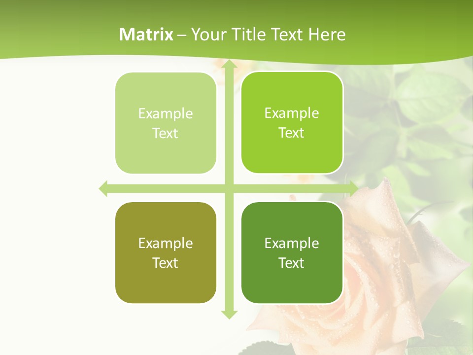 Botany Colorful Postcard PowerPoint Template