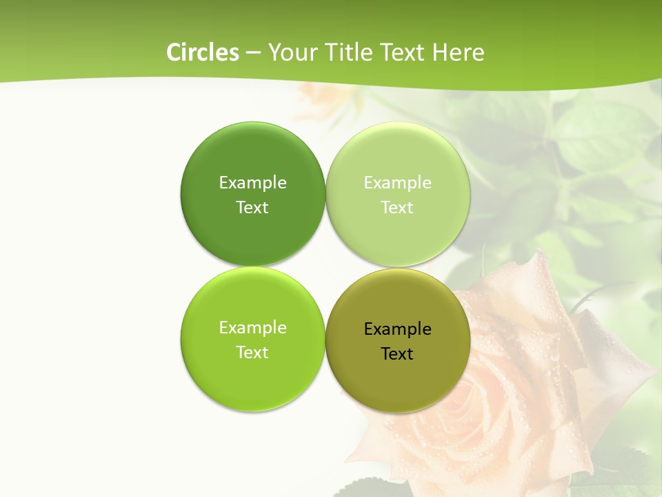 Botany Colorful Postcard PowerPoint Template