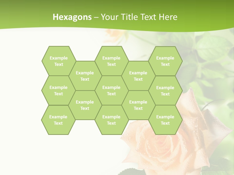 Botany Colorful Postcard PowerPoint Template