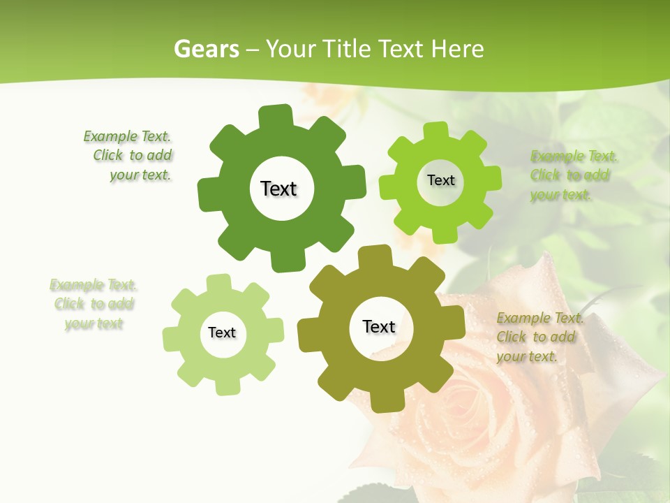 Botany Colorful Postcard PowerPoint Template