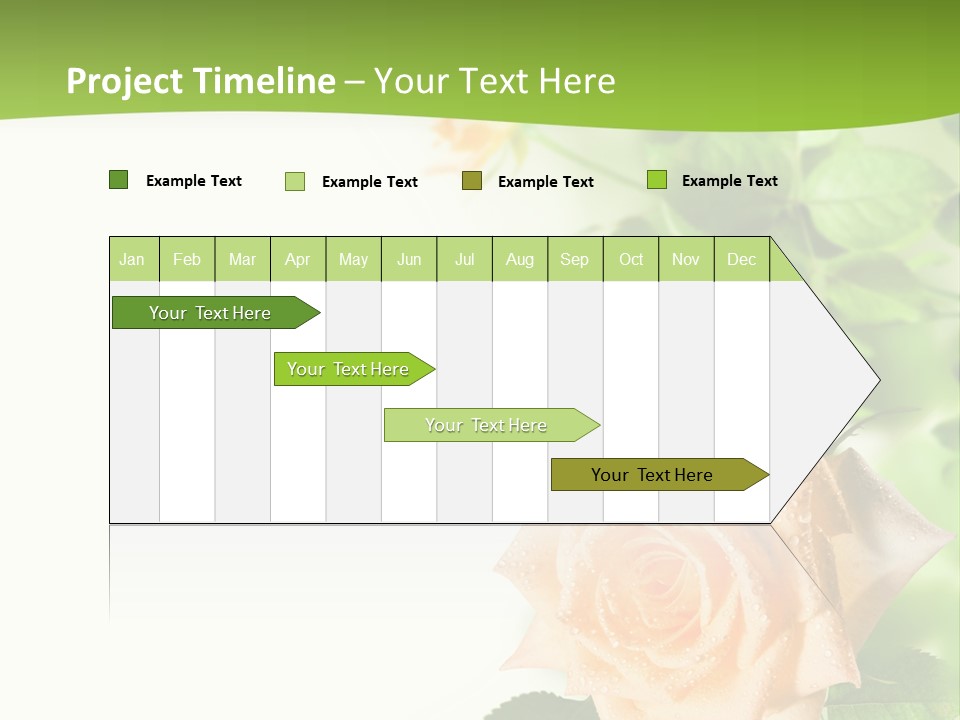 Botany Colorful Postcard PowerPoint Template