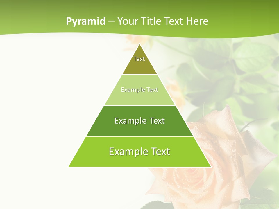 Botany Colorful Postcard PowerPoint Template