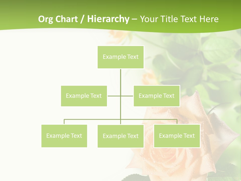 Botany Colorful Postcard PowerPoint Template