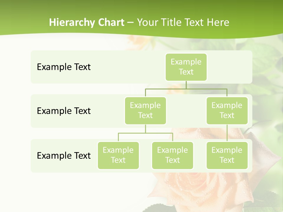 Botany Colorful Postcard PowerPoint Template