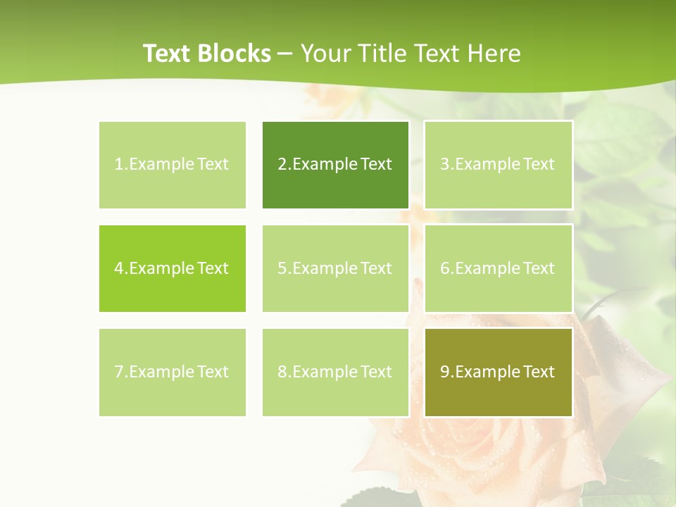 Botany Colorful Postcard PowerPoint Template