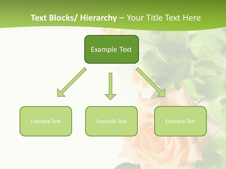 Botany Colorful Postcard PowerPoint Template