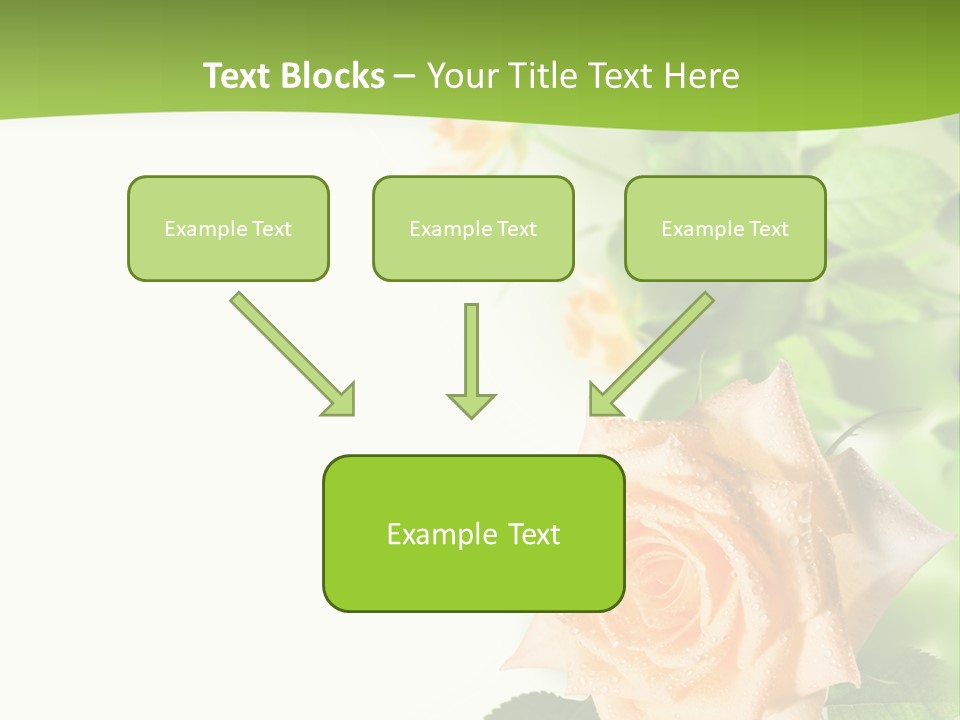 Botany Colorful Postcard PowerPoint Template