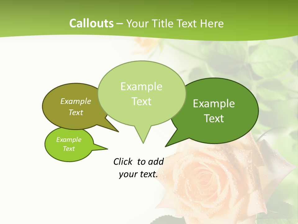 Botany Colorful Postcard PowerPoint Template