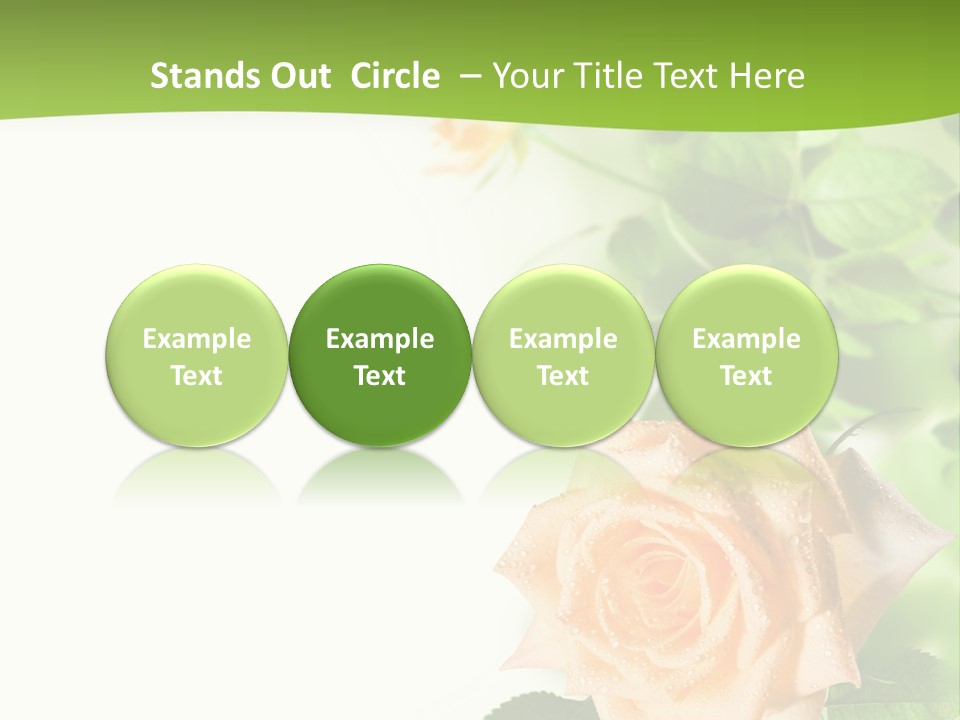 Botany Colorful Postcard PowerPoint Template