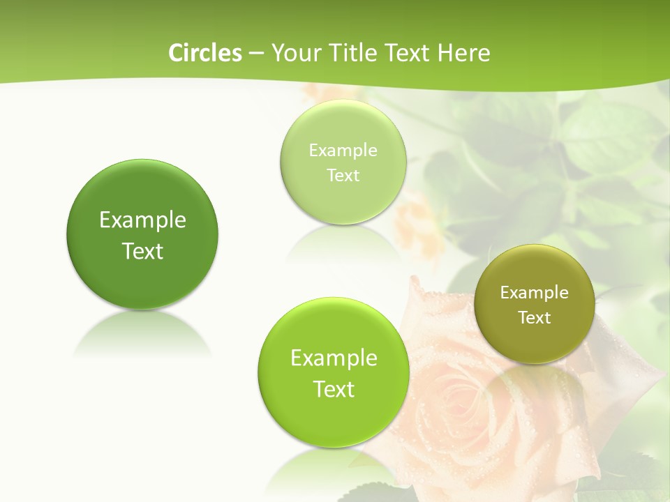 Botany Colorful Postcard PowerPoint Template