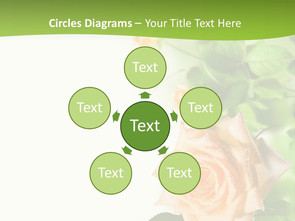 Botany Colorful Postcard PowerPoint Template