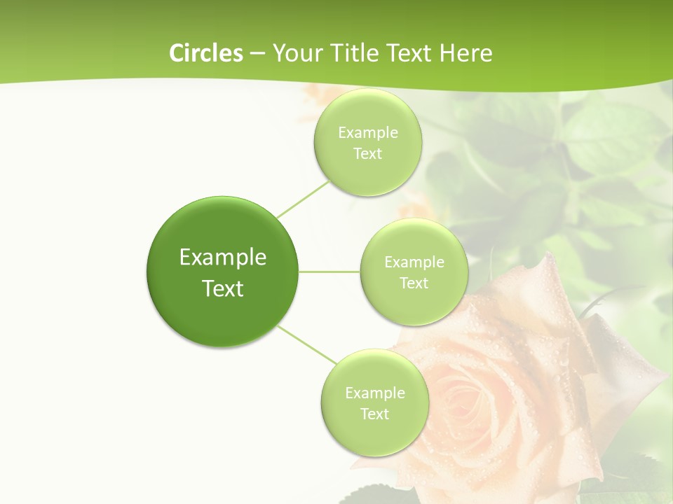 Botany Colorful Postcard PowerPoint Template