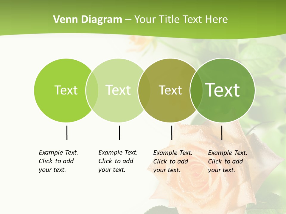 Botany Colorful Postcard PowerPoint Template