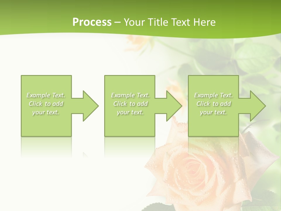 Botany Colorful Postcard PowerPoint Template