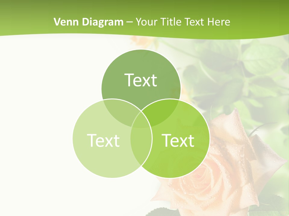 Botany Colorful Postcard PowerPoint Template