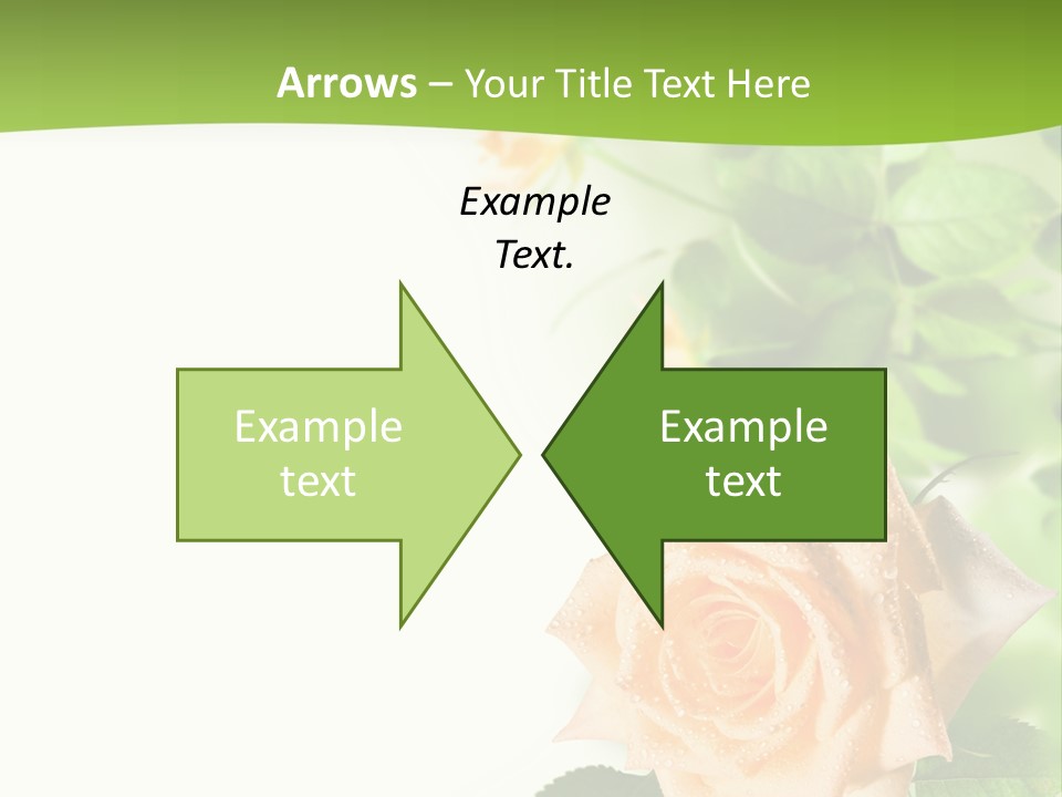 Botany Colorful Postcard PowerPoint Template