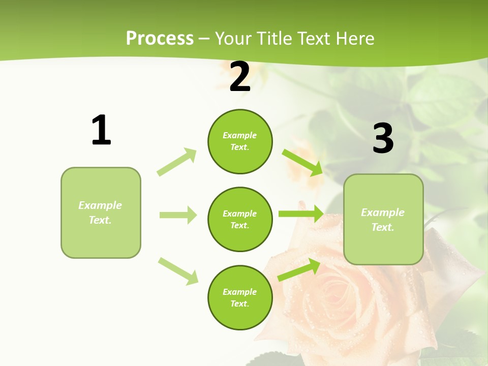 Botany Colorful Postcard PowerPoint Template