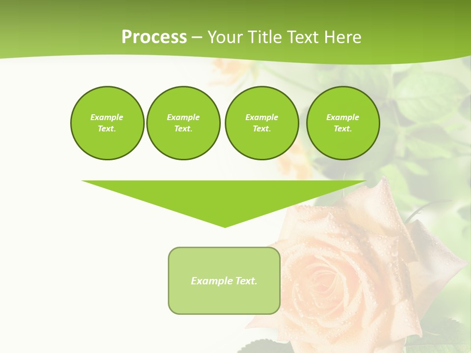 Botany Colorful Postcard PowerPoint Template