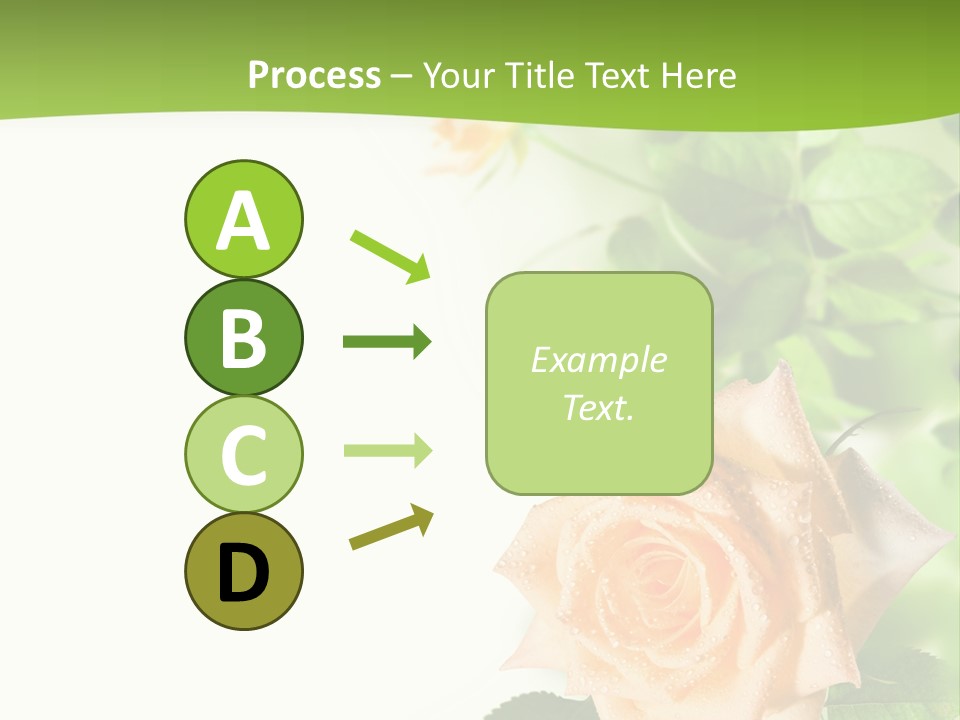 Botany Colorful Postcard PowerPoint Template