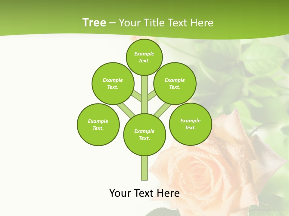 Botany Colorful Postcard PowerPoint Template