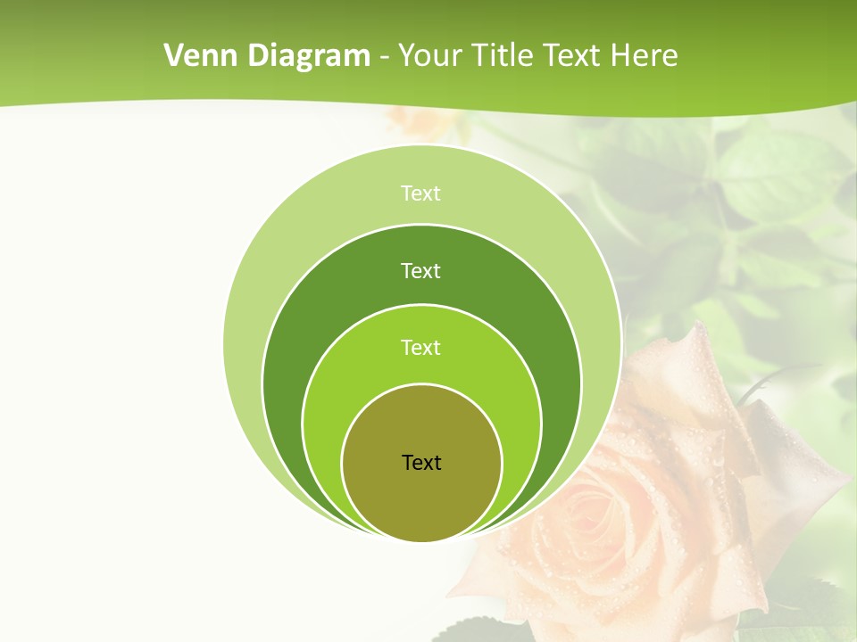 Botany Colorful Postcard PowerPoint Template