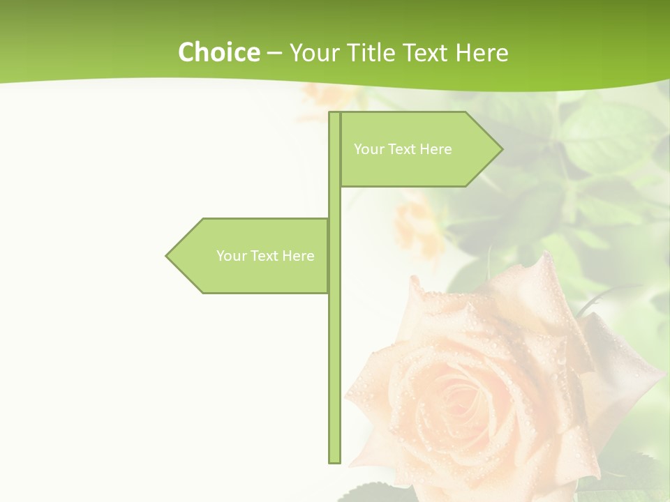 Botany Colorful Postcard PowerPoint Template