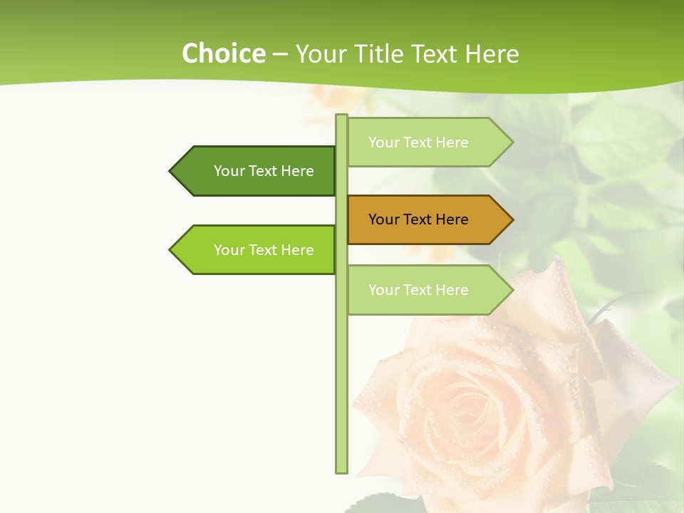 Botany Colorful Postcard PowerPoint Template