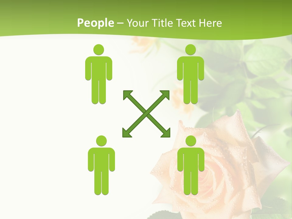 Botany Colorful Postcard PowerPoint Template