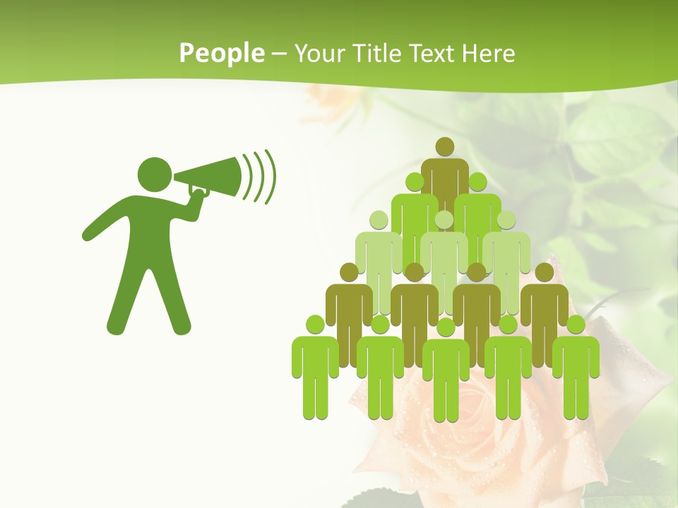 Botany Colorful Postcard PowerPoint Template