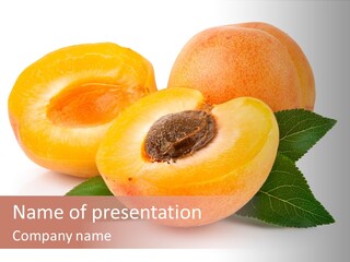 Cut Ripe Native PowerPoint Template