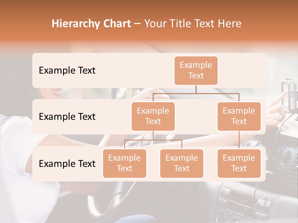 Wheel Use Woman PowerPoint Template