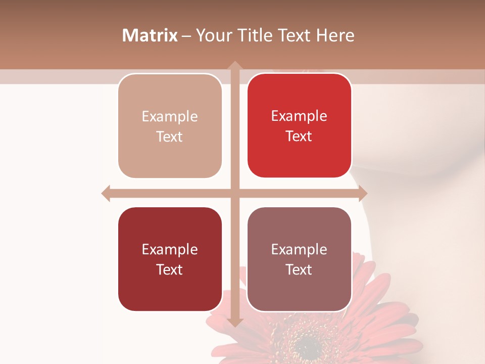 Lady Face  PowerPoint Template