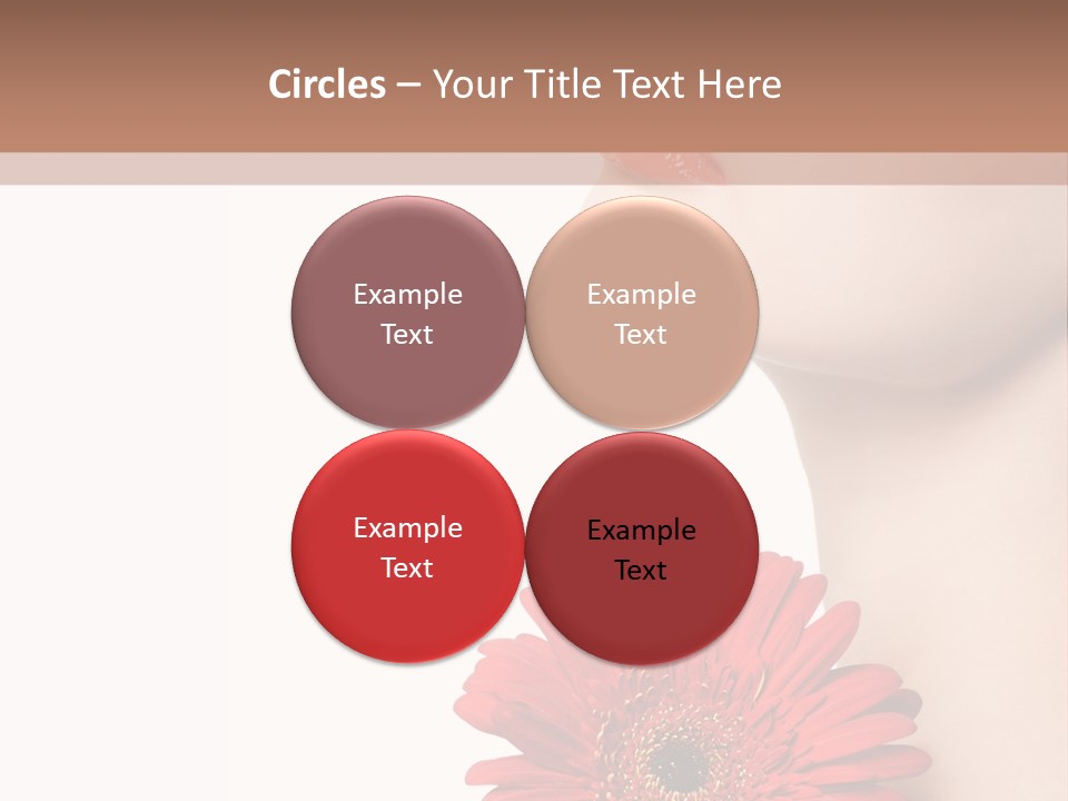 Lady Face  PowerPoint Template