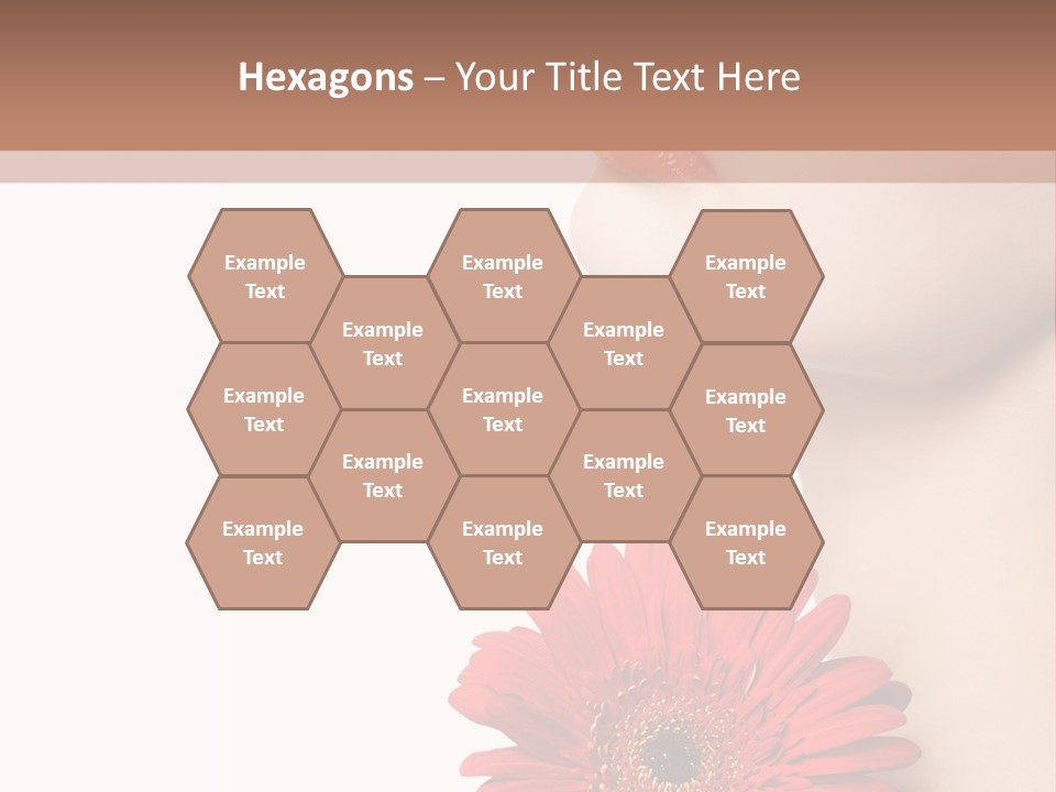 Lady Face  PowerPoint Template