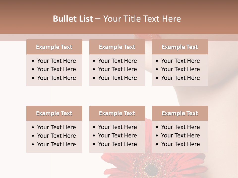 Lady Face  PowerPoint Template