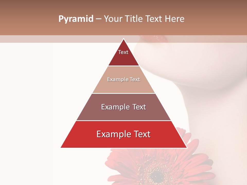 Lady Face  PowerPoint Template