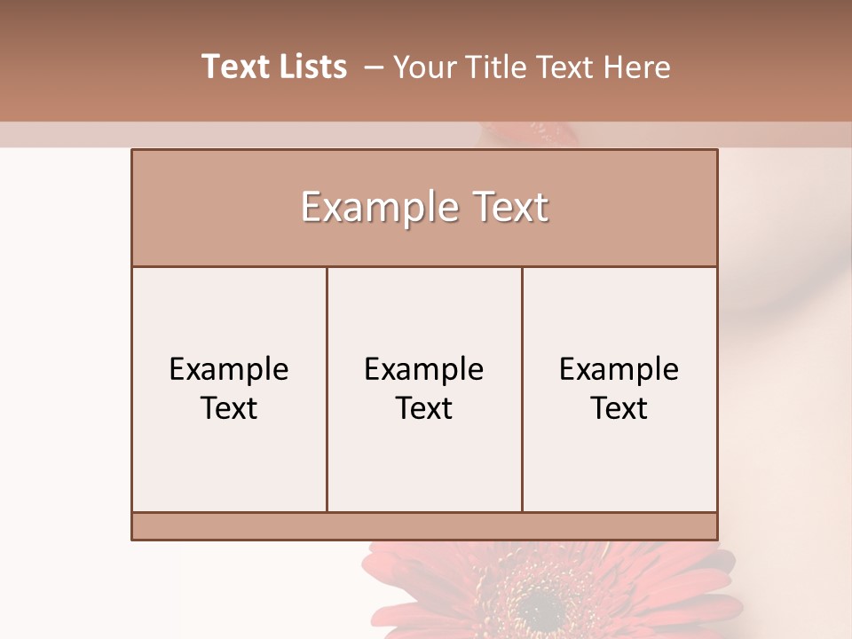 Lady Face  PowerPoint Template