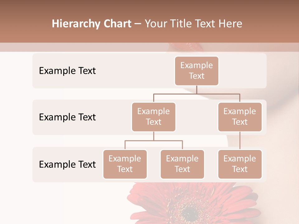 Lady Face  PowerPoint Template