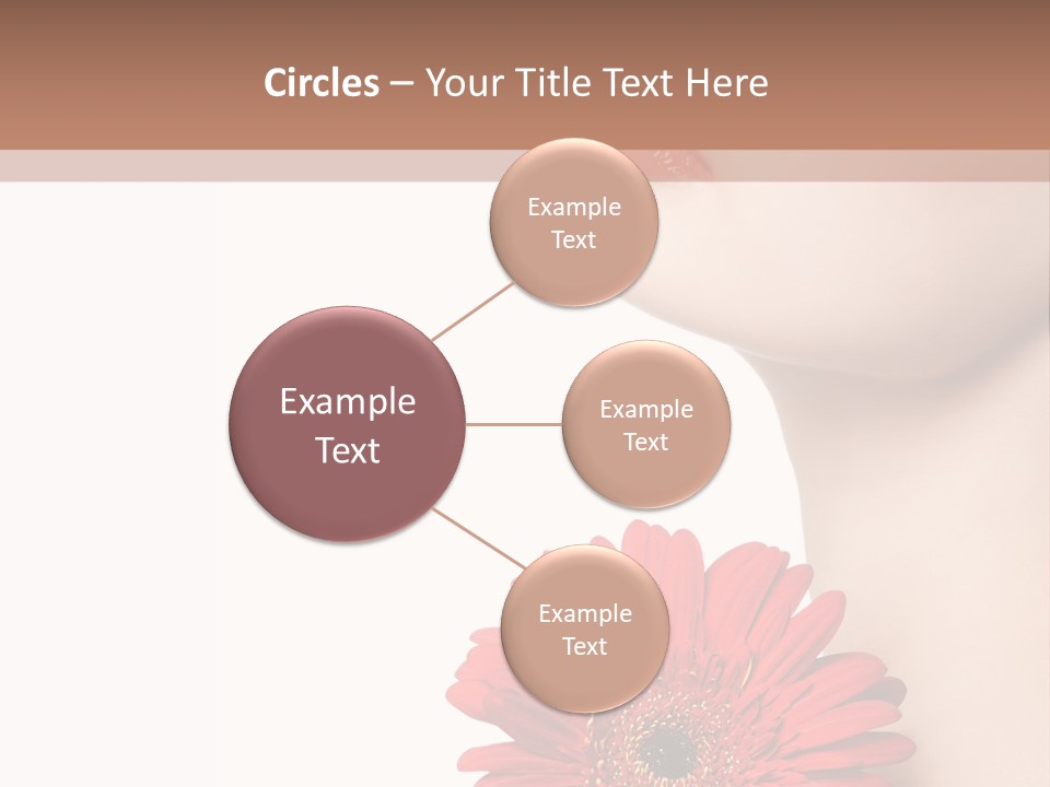 Lady Face  PowerPoint Template