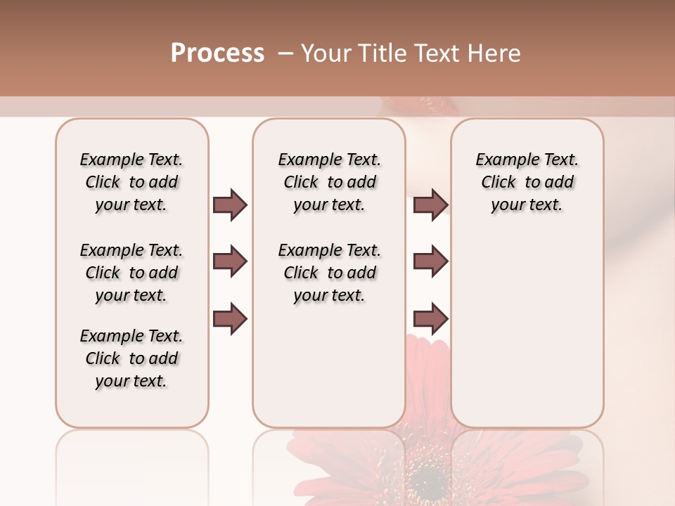 Lady Face  PowerPoint Template