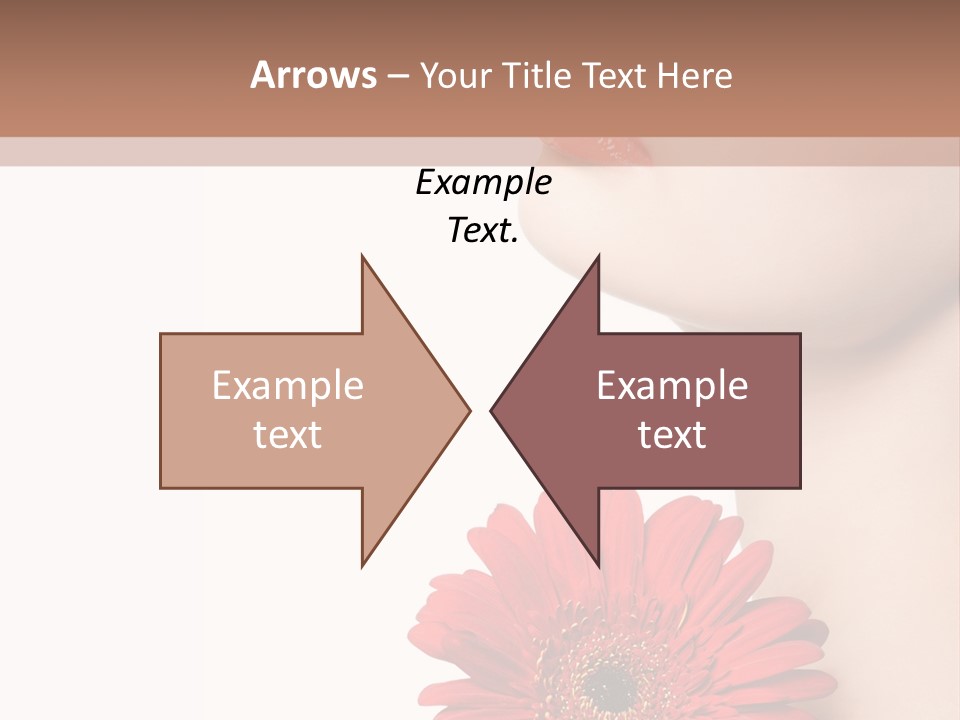 Lady Face  PowerPoint Template