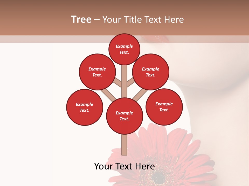 Lady Face  PowerPoint Template